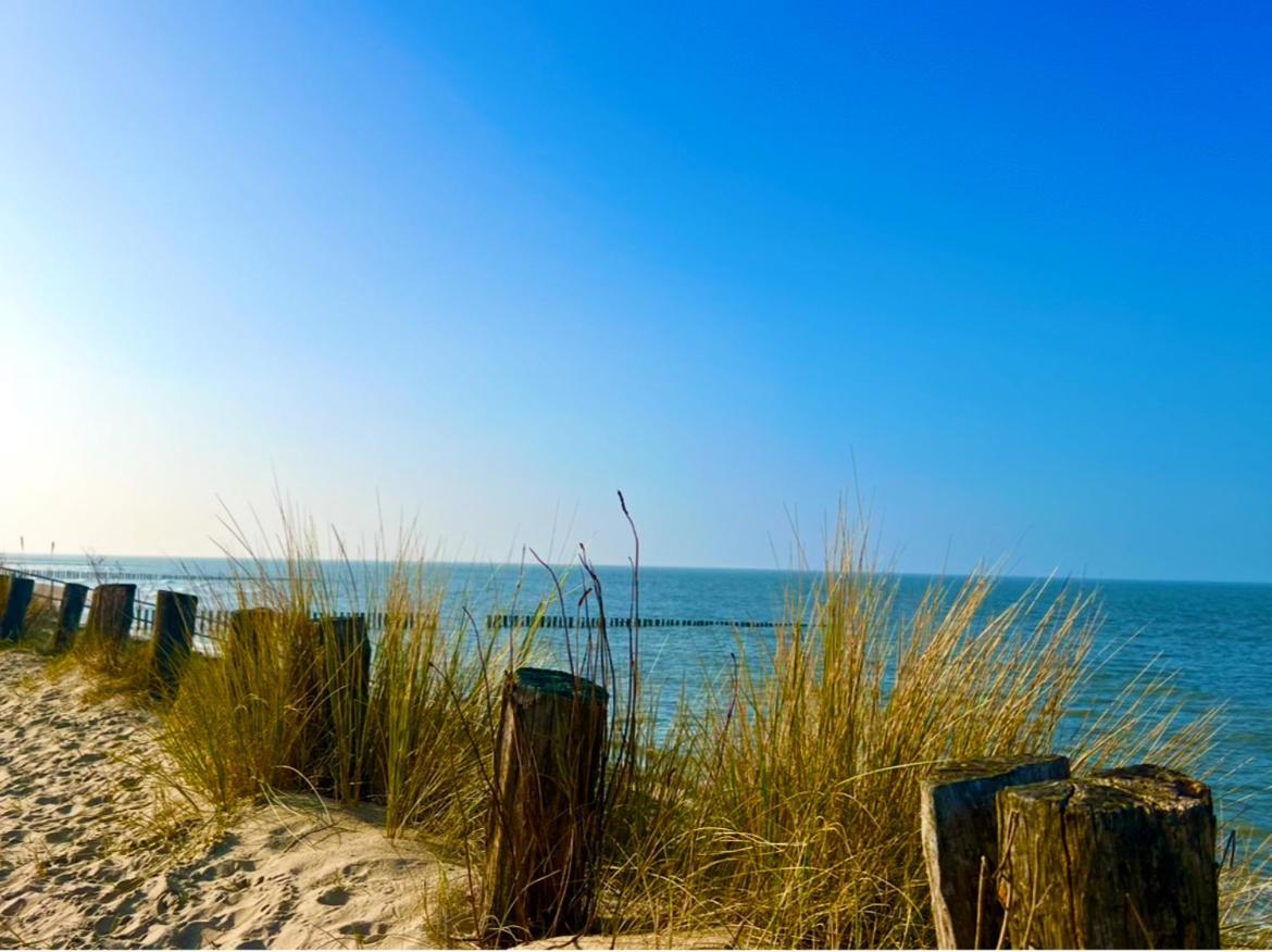 Strand- First Line - Nordsee -zealand - Noordzee Holland Appartement Breskens