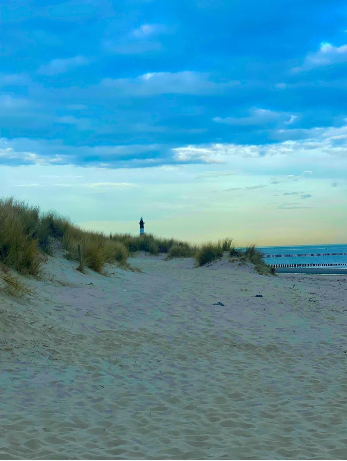 Strand- First Line - Nordsee -zealand - Noordzee Holland Breskens